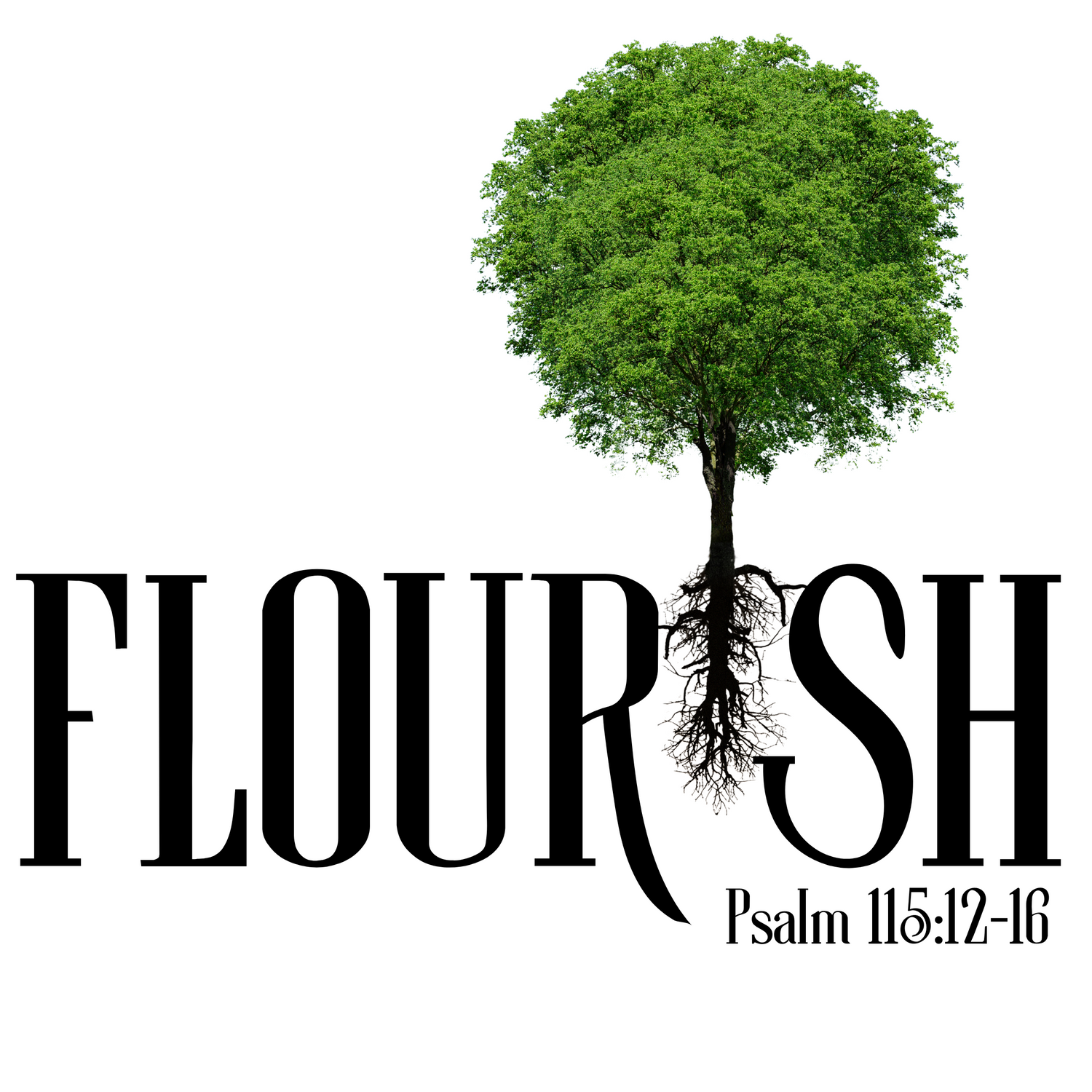 RoyalT Flourish Faithwear and Accessories