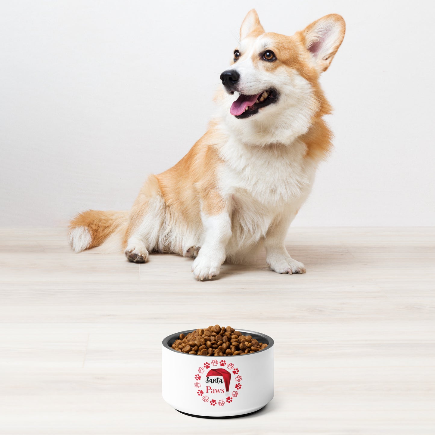 Santa Paws Pet bowl