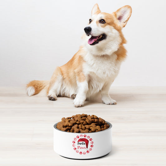 Santa Paws Pet bowl