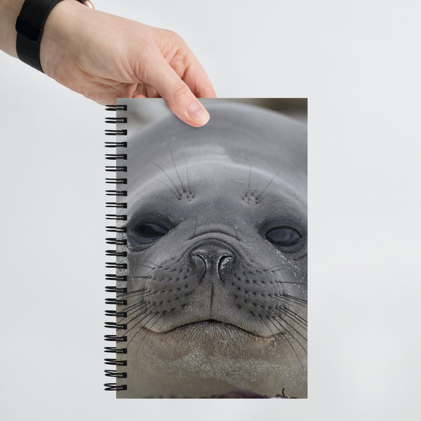 Seal Spiral notebook